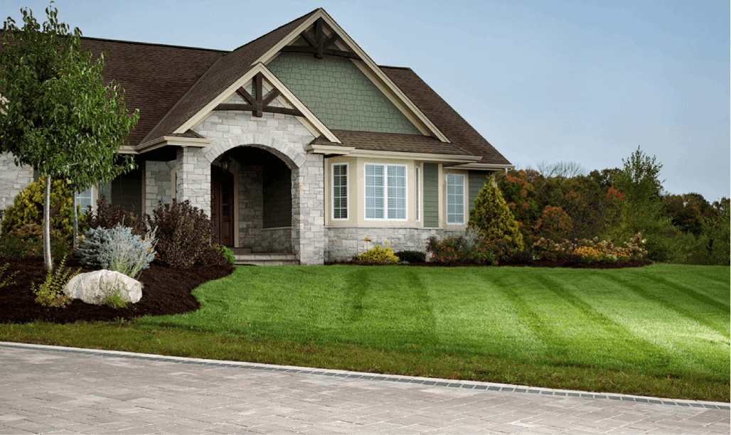 Landscaping 7