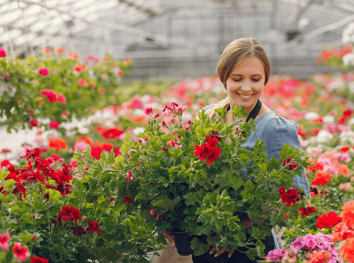 Nursery Stock 6